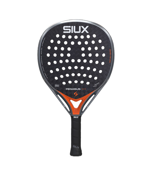 Siux Pegasus Pro 2026
