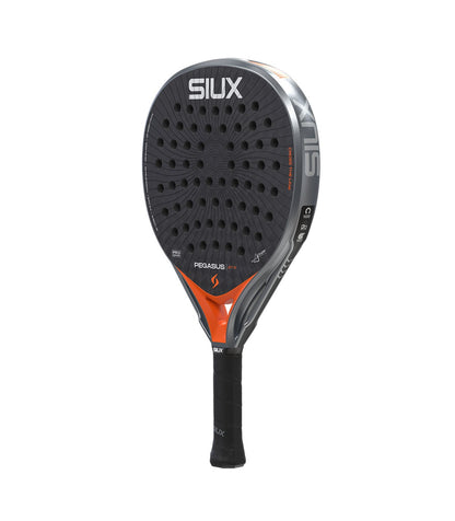 Siux Pegasus Pro 2026