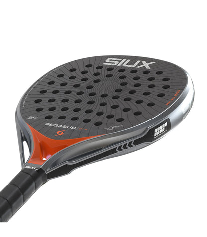 Siux Pegasus Pro 2026