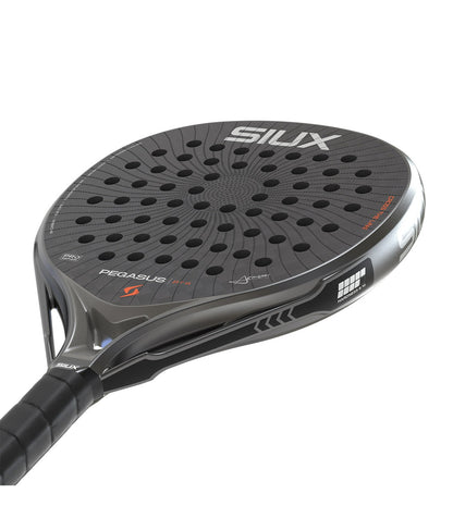 Siux Pegasus Pro 2026