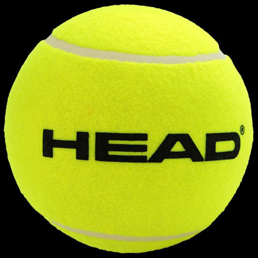 Pelota Gigante Head